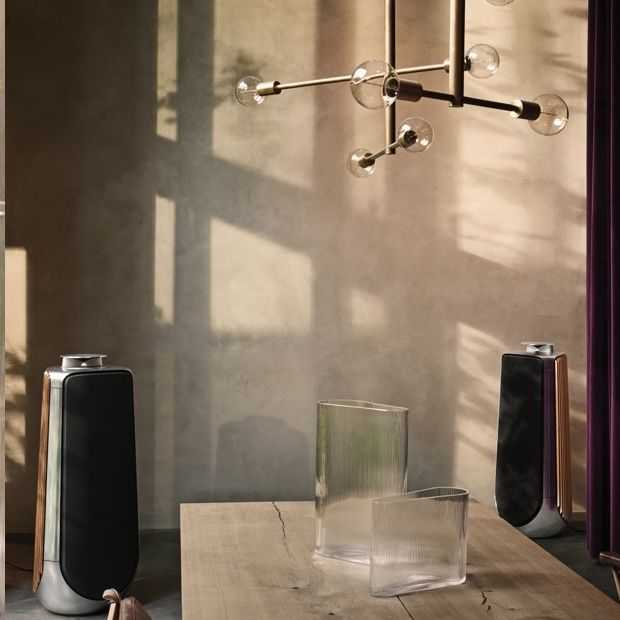 Deze prachtige BeoLab 50 speakers kosten 40.000 per paar