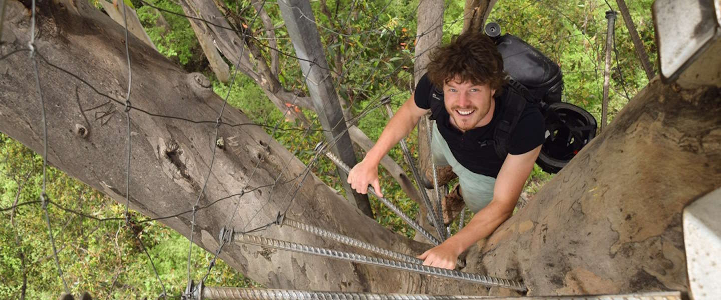 360 graden video: deze man klimt in een boom van 75 meter zonder touw