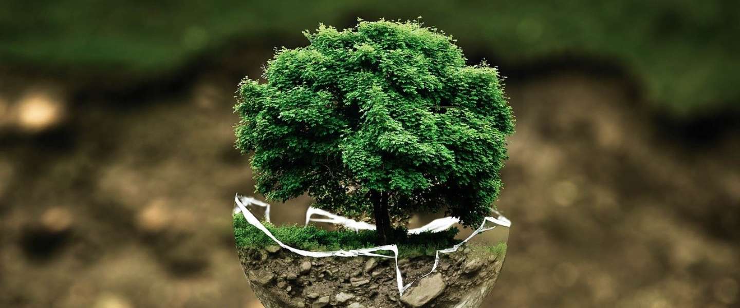 ​Amazon-baas zet 10 miljard dollar in tegen klimaatverandering