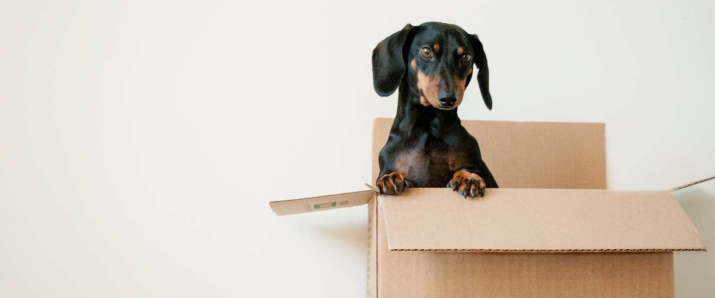 Europese consumentenorganisaties komen in actie tegen AliExpress