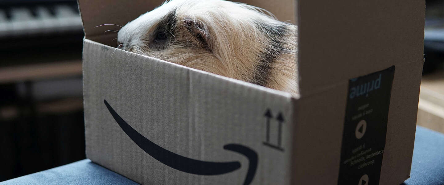 ​Amazon Prime Day: komt het er weer aan?