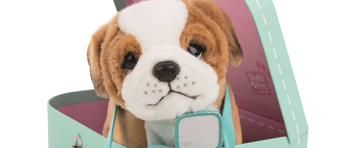 Knuffels komen tot leven met de nieuwe Augmented Reality app 'Studio Pets'