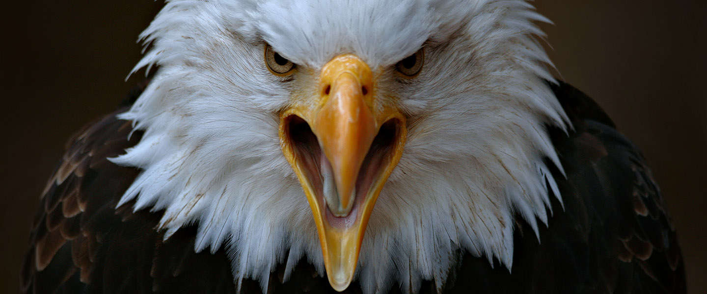 National Geographic gaat op zoek naar de mooiste foto's van Nederland en België