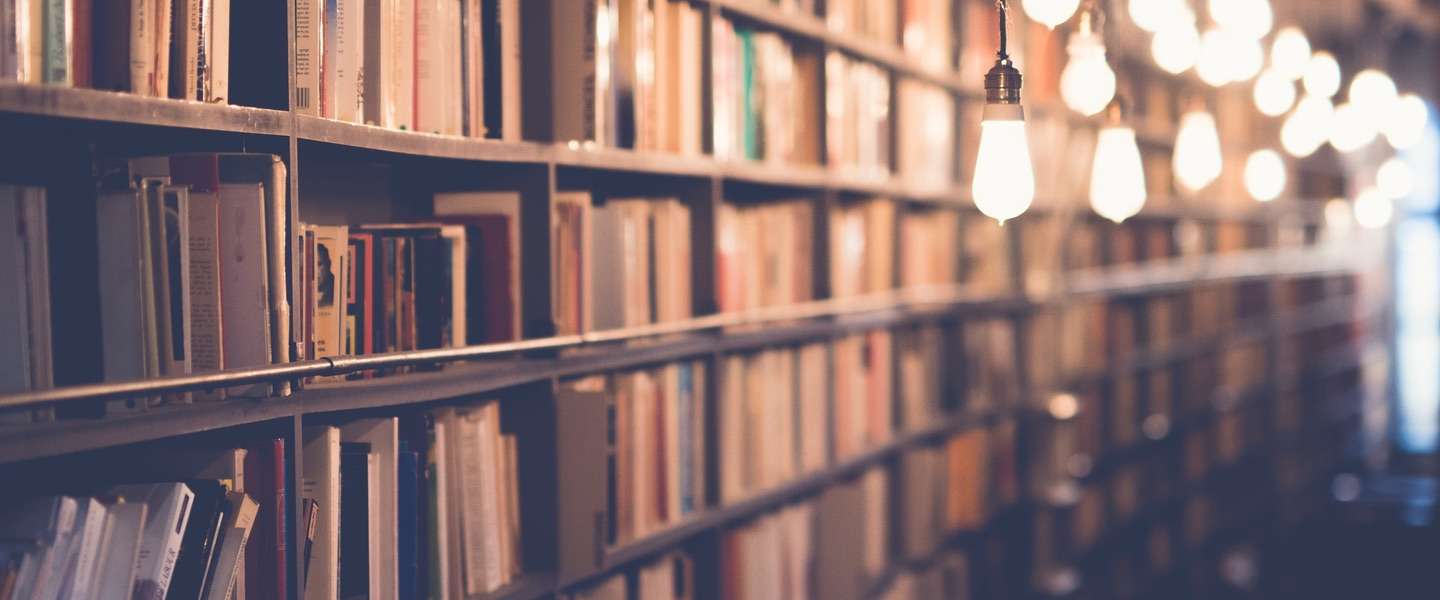 Steeds meer Nederlanders gebruiken de digitale bibliotheek