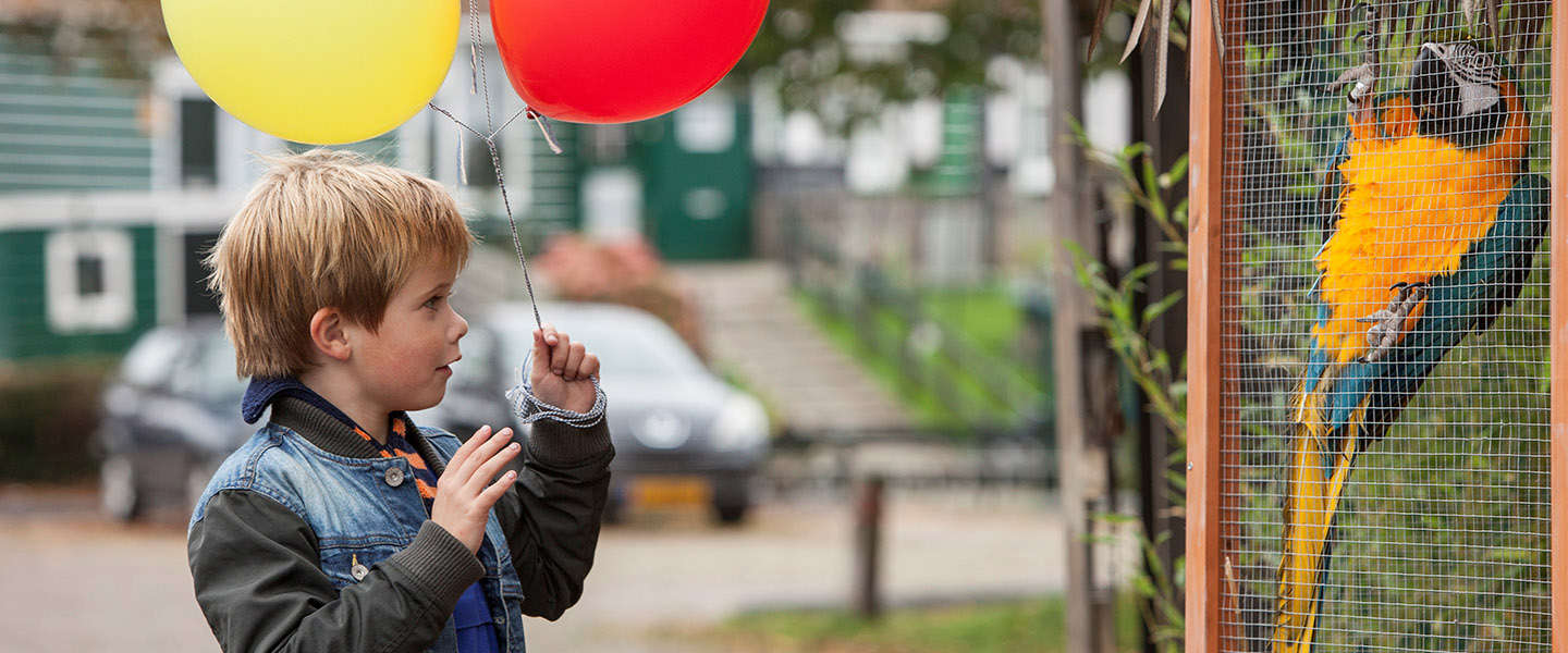 Dikkertje Dap in première tijdens Nederlands Film Festival