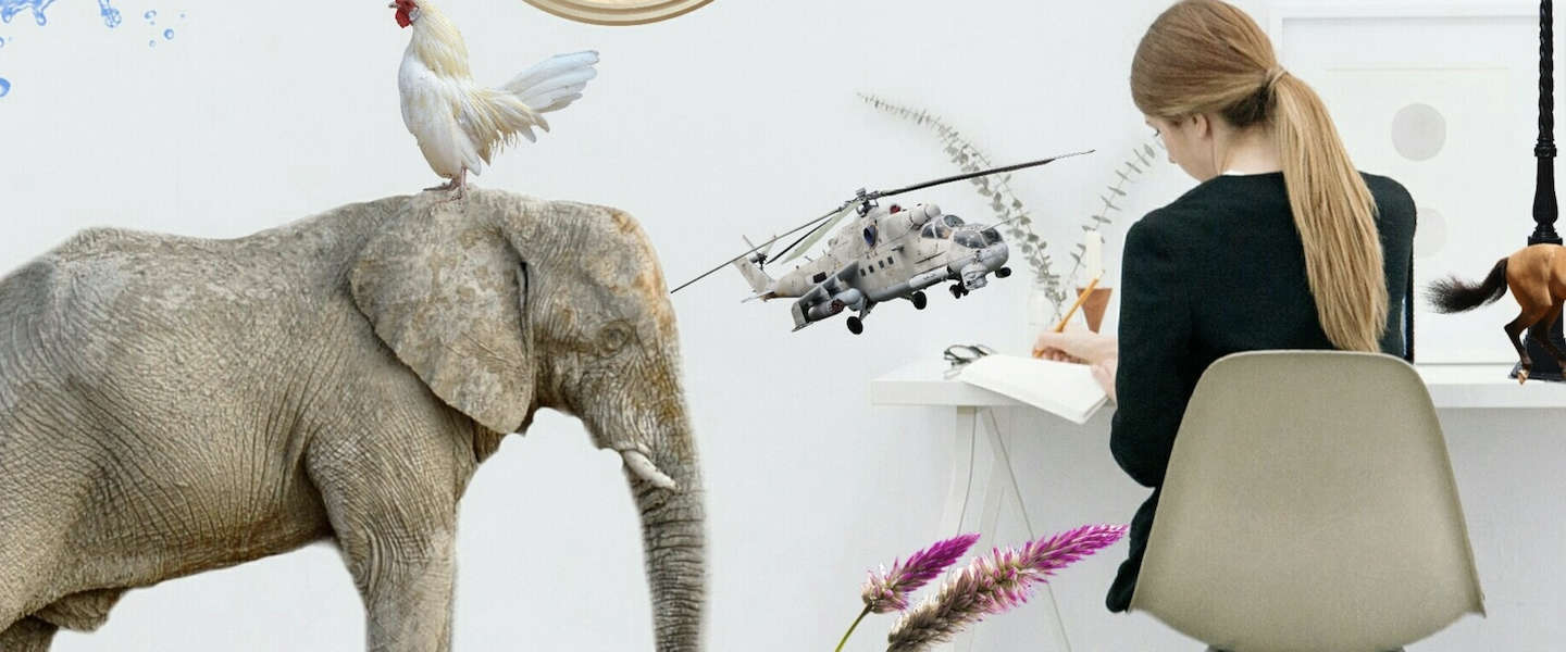 Het Don’t think of an elephant momentje van Thierry Baudet