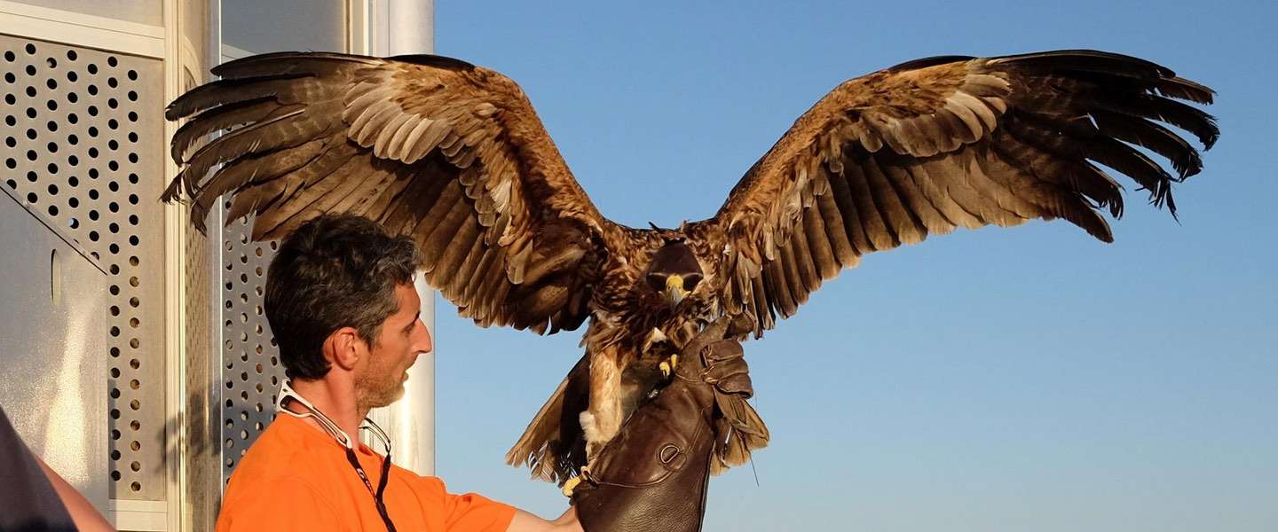 Fly like an Eagle met een action cam vanaf de Burj Khalifa in Dubai