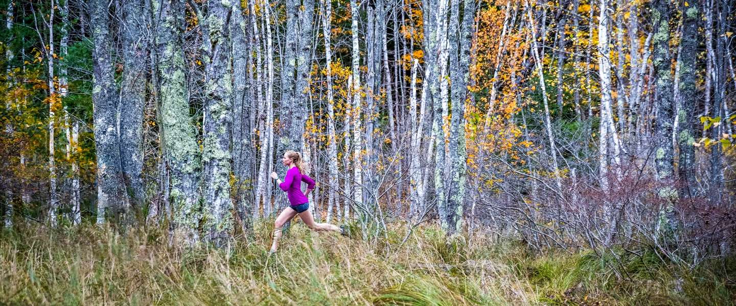 CES 2017: Dit zijn de productlanceringen van Garmin