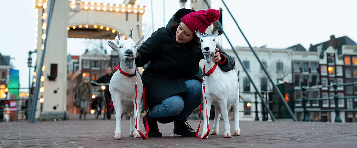 Geiten gespot in Amsterdam voor aankondiging van de serie Travel with a Goat