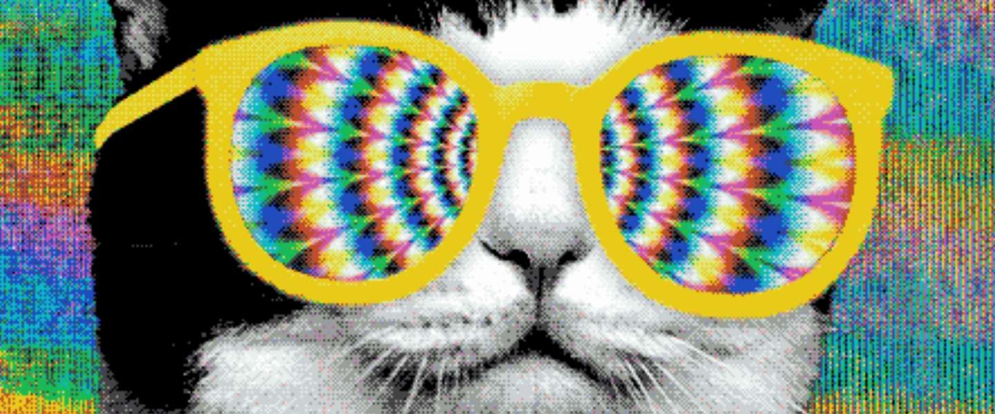 We kijken per dag 2 miljoen uur aan GIFs