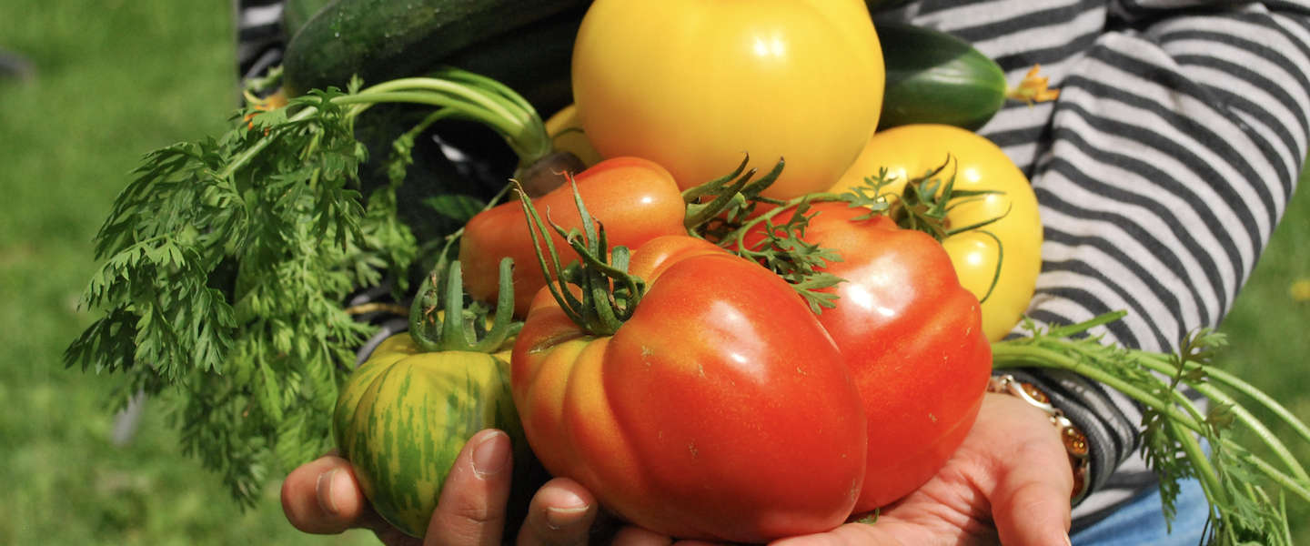 GoodFoodClub maakt alle duurzame lokale boeren vindbaar