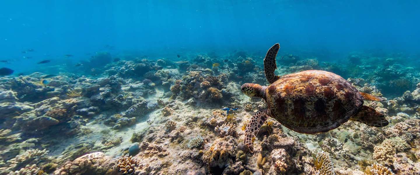 10 must see locaties op Google Street View