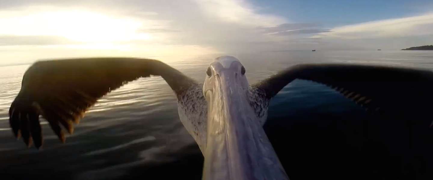 10x geweldige GoPro video's