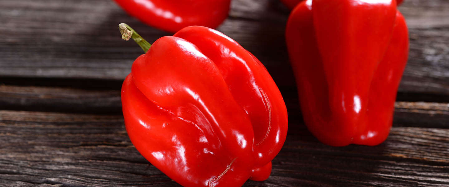 Google eert Scoville met interactieve Doodle