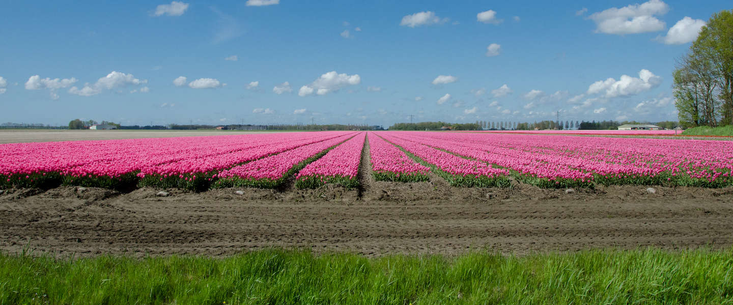 Toekomstige internationale handelsgroei: Nederland in kopgroep