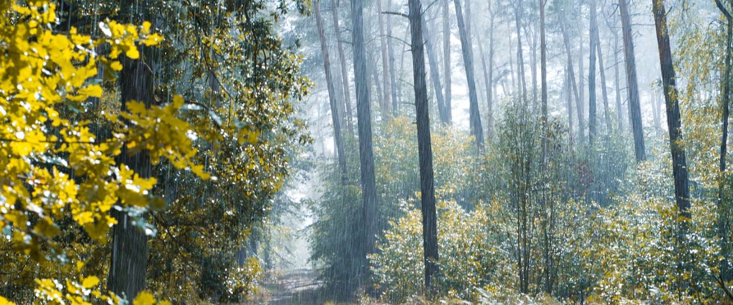 Deze docu-series op Netflix kijken lekker weg deze regenachtige herfst