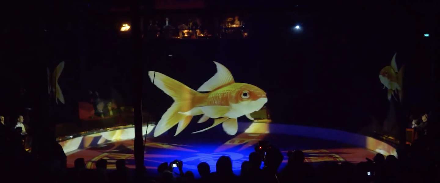 Duits circus gebruikt hologrammen in plaats van levende dieren