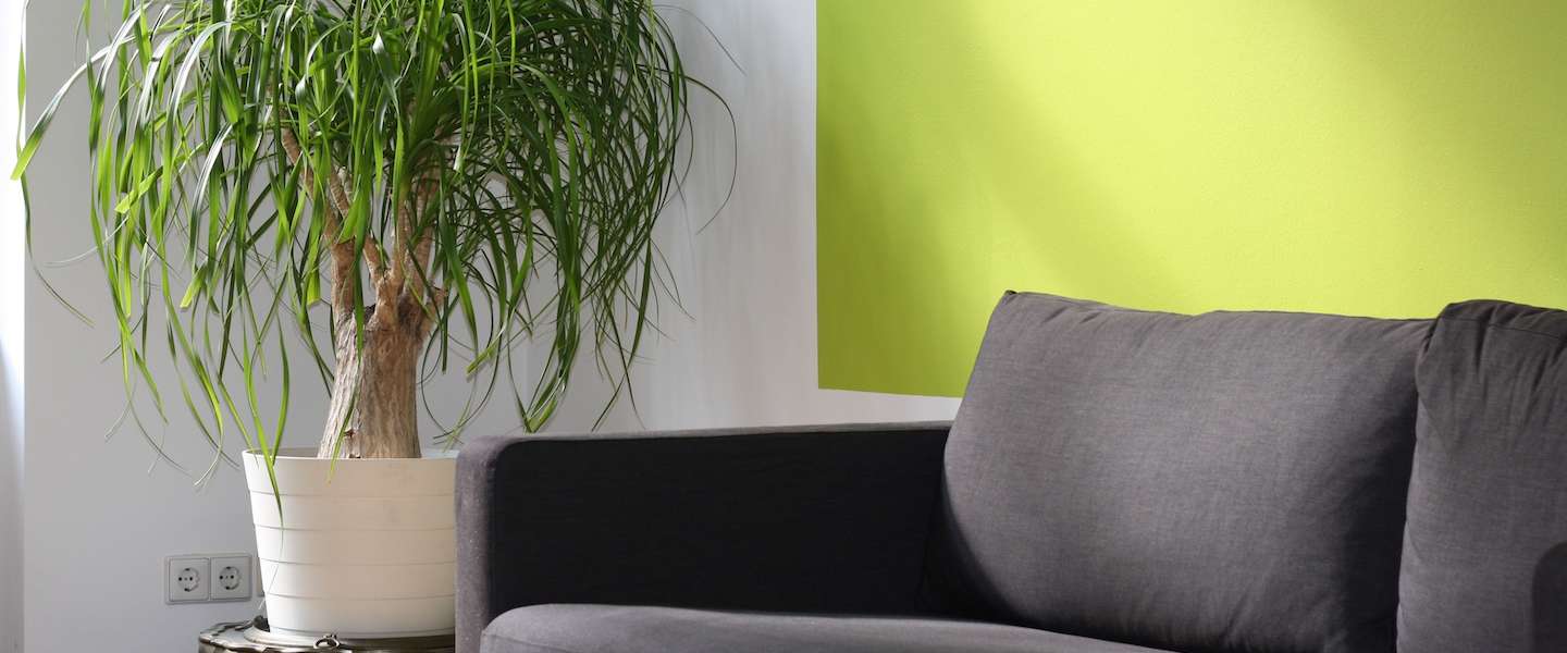 IKEA opent winkel in het hart van Parijs