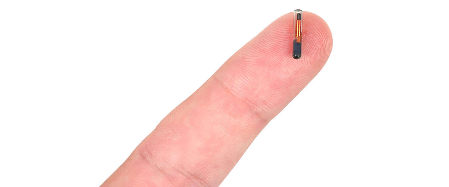 Technologie die straks in je lichaam zit