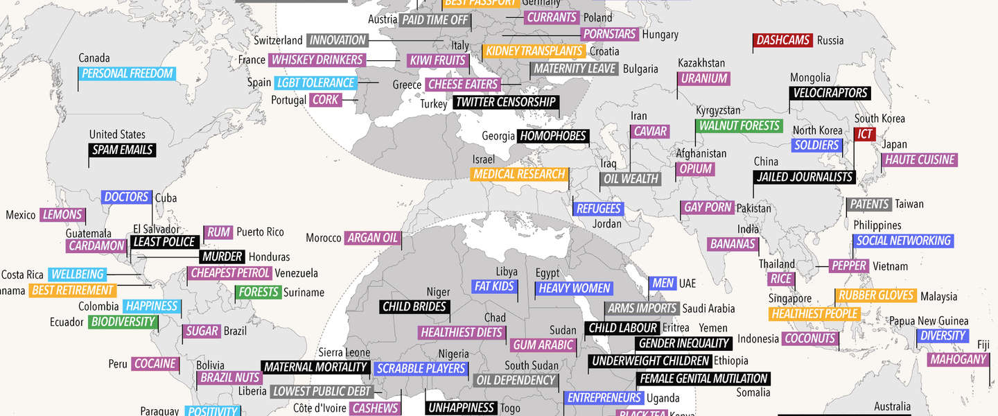 Deze wereldkaart laat zien waar elk land in uitblinkt