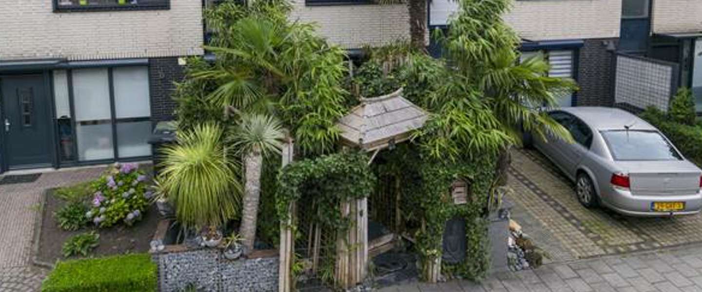 Junglehuis in Roosendaal gaat viral - en terecht