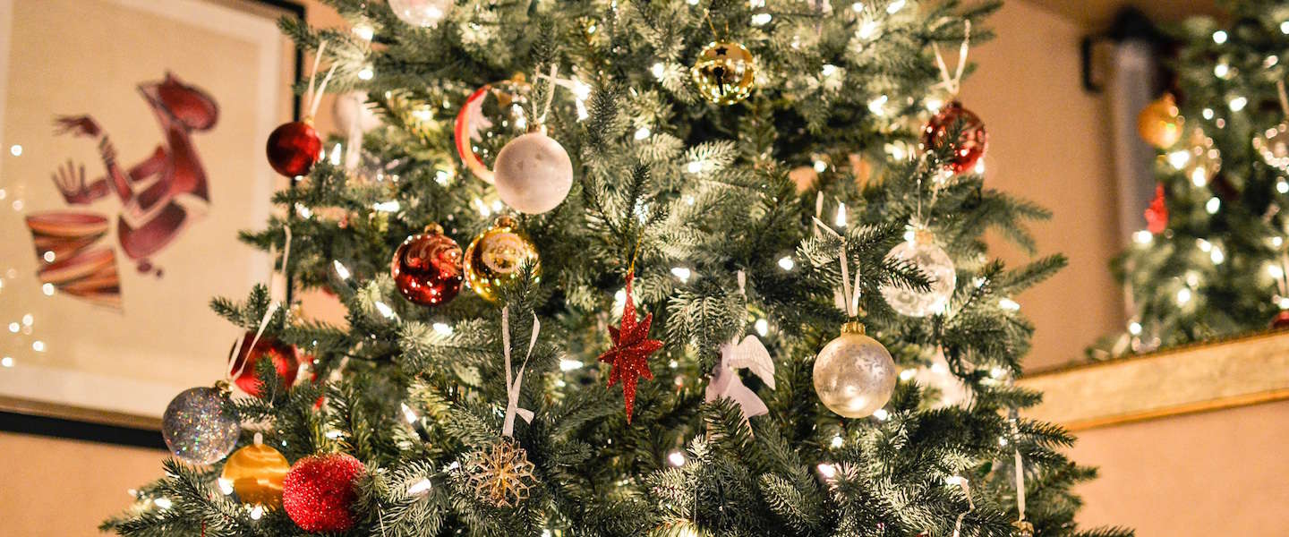 Dwang klem Centimeter Nederland gaat massaal naar IKEA: Nordmann kerstboom voor 1 euro!
