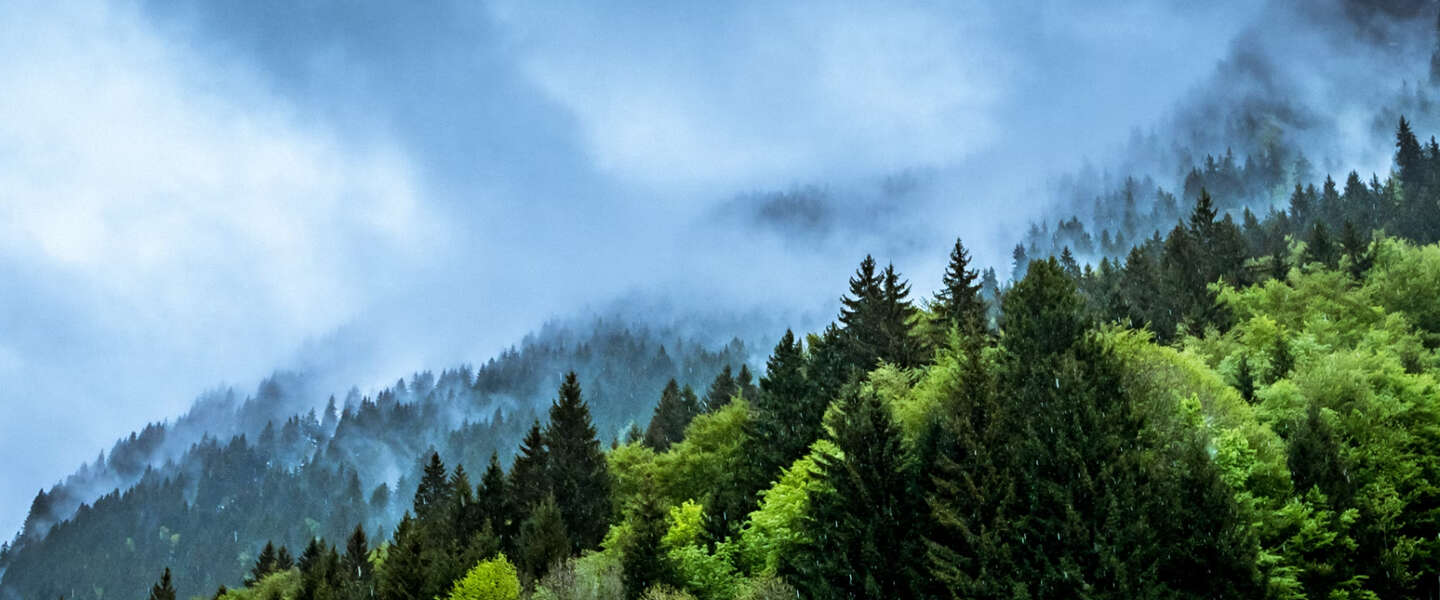 ​Pinterest strijdt tegen nepnieuws over klimaatverandering