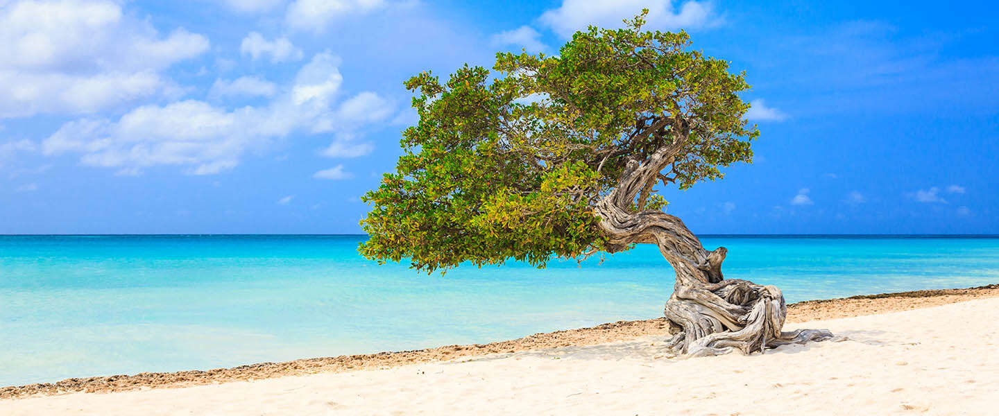 4x tips voor een onvergetelijke vakantie naar Aruba!
