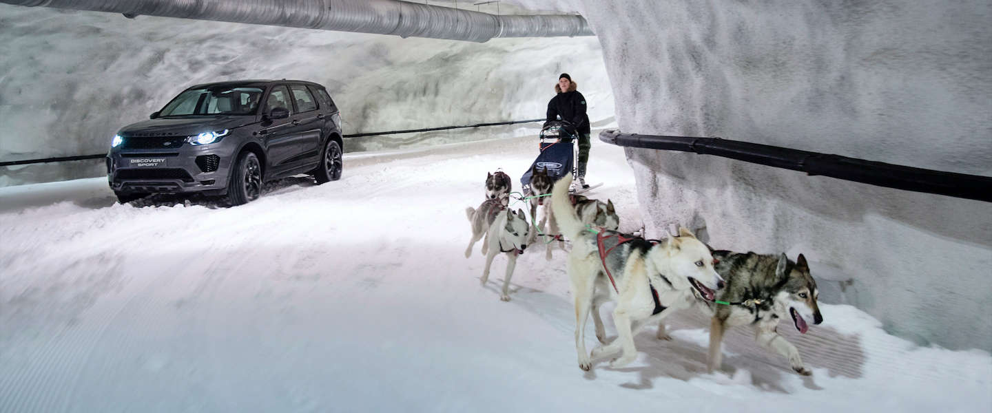 Land Rover doet weer eens van zich spreken, Discovery Sport vs een team Husky's