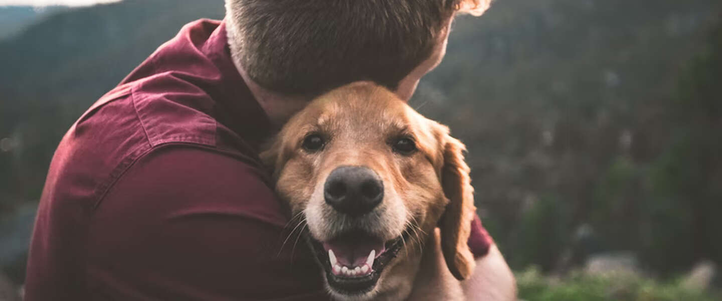 Goed Nieuws: einde coronamaatregelen en gelukkige hondenbezitters