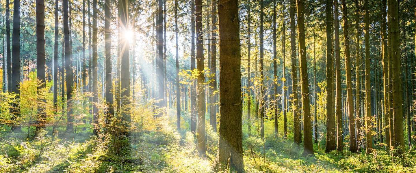 Satanisch begin van de lente