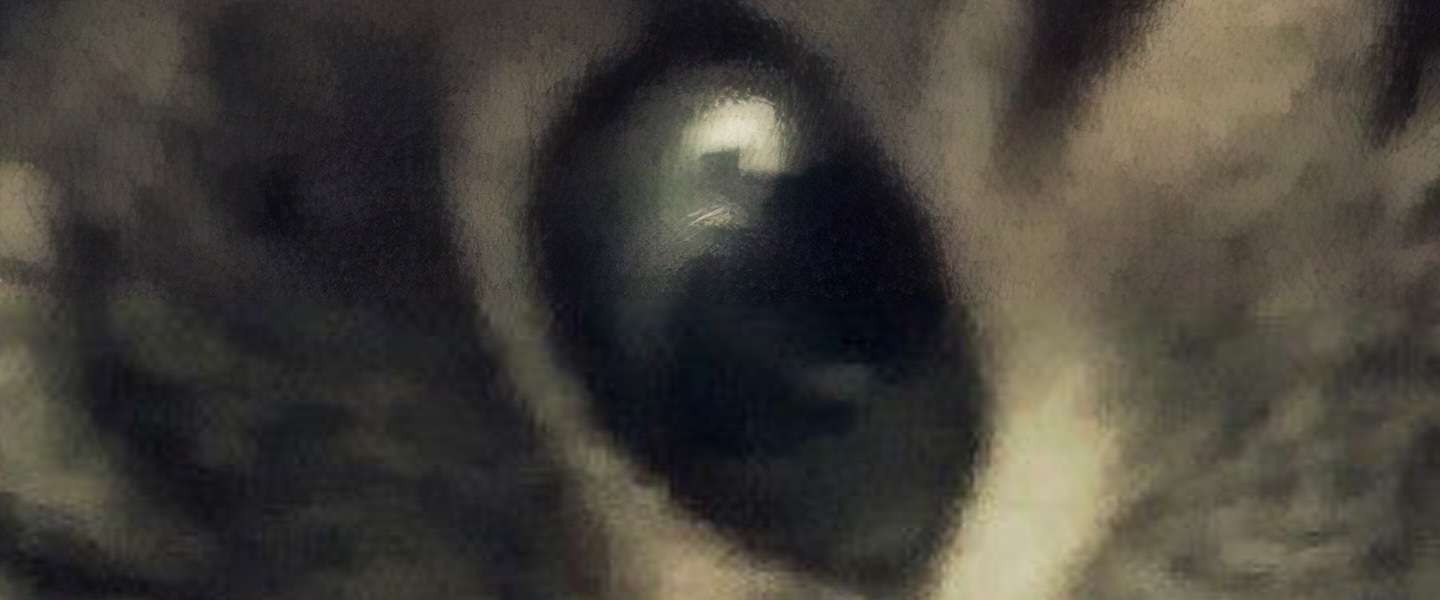 Let's Enhance wil je low-res foto's magisch beter maken
