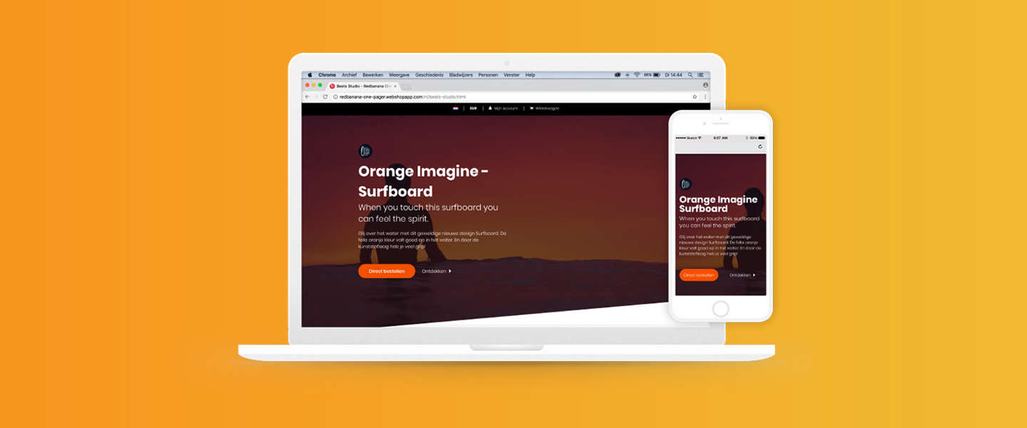 ​Dit kun je bereiken met een one product webshop