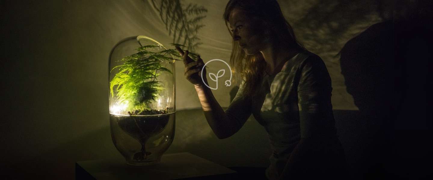 Living Light: deze lamp haalt z'n energie uit een plant
