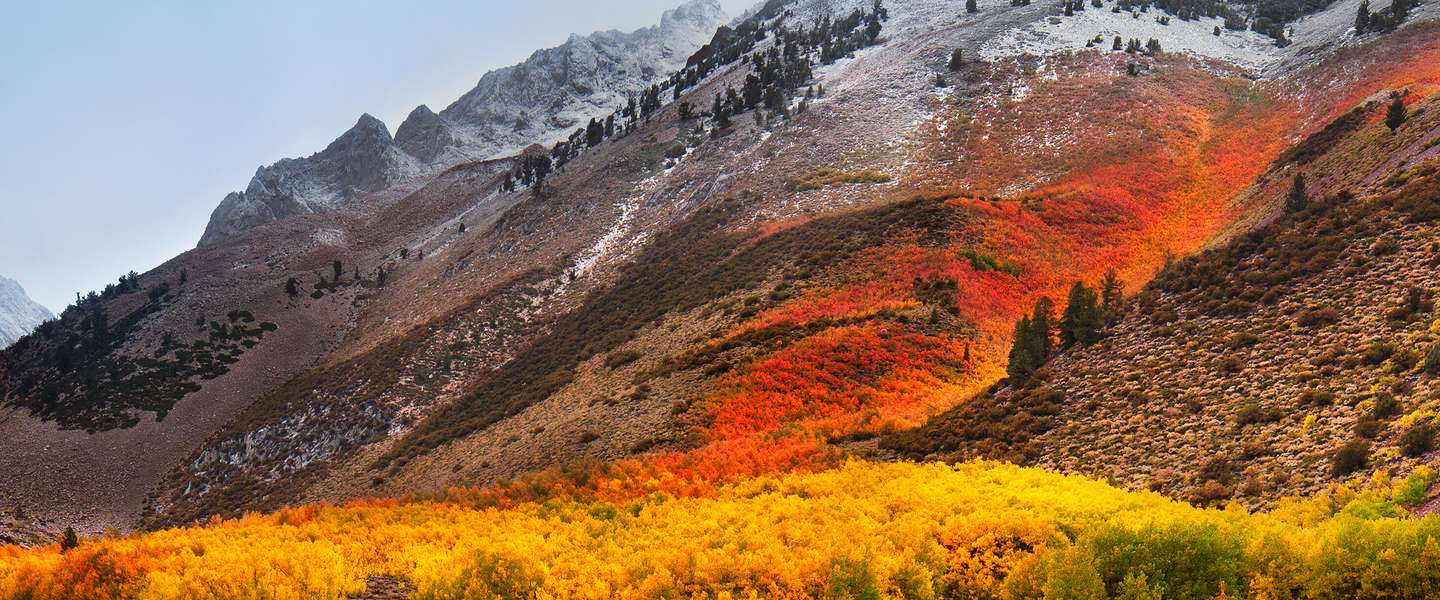 OS High Sierra beveiligingslek laat iedereen in je Mac. Fix het nu!