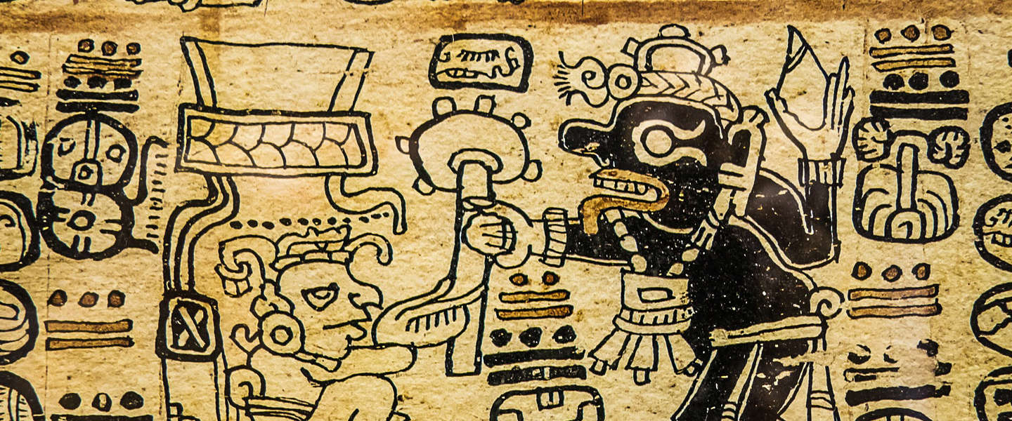 Goed nieuws vrijdag: Grootste Maya-bouwwerk ooit ontdekt en meer Brooklyn 99 op Netflix