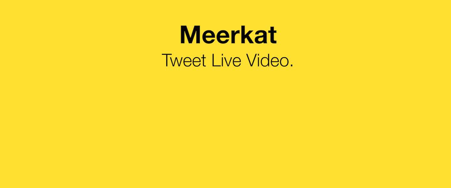 Meerkat: wat is het en waarom is het juist nú zo populair