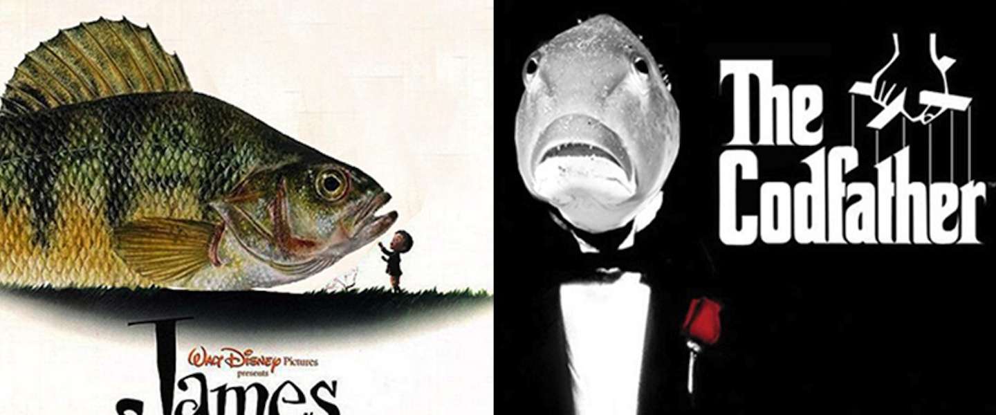 Infographic: 62 films met 'fishy' titels