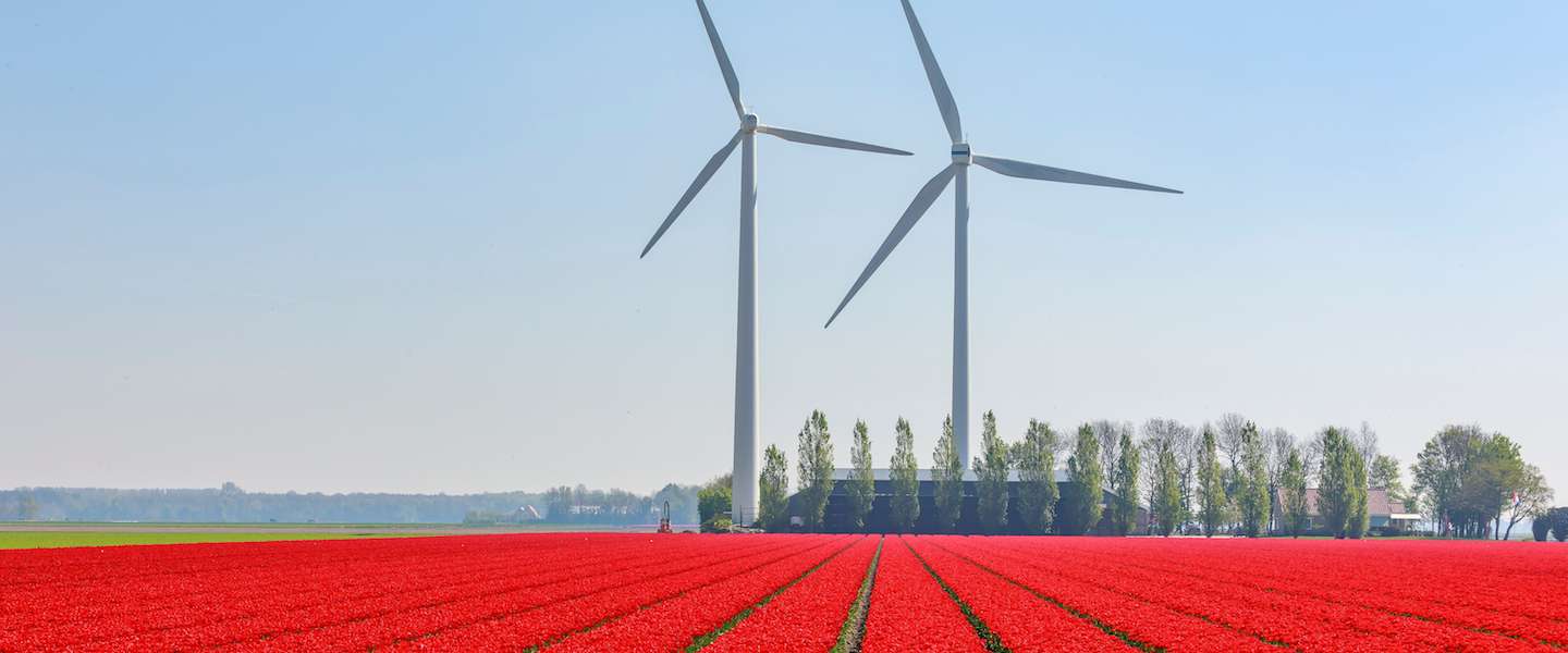 Op de site van Netherlands and you vind je alle informatie voor een bezoek aan ons land
