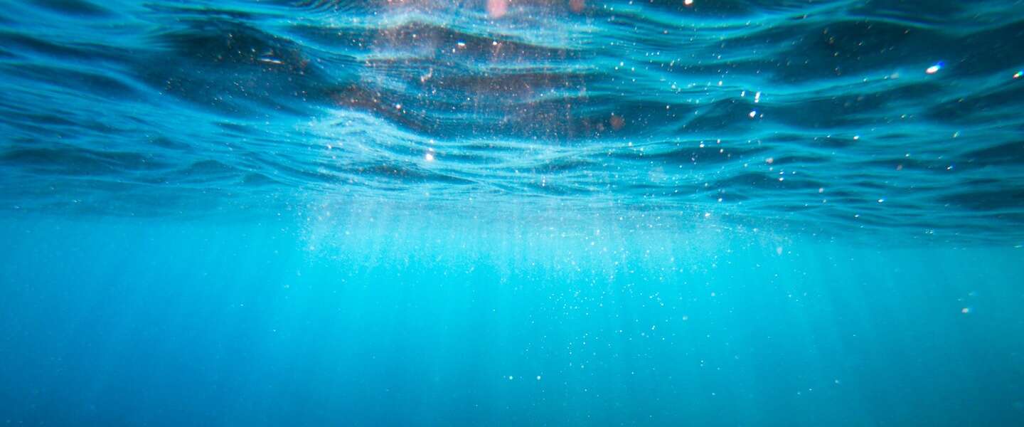 Kunnen bacteriën uit de oceaan de klimaatverandering stoppen?