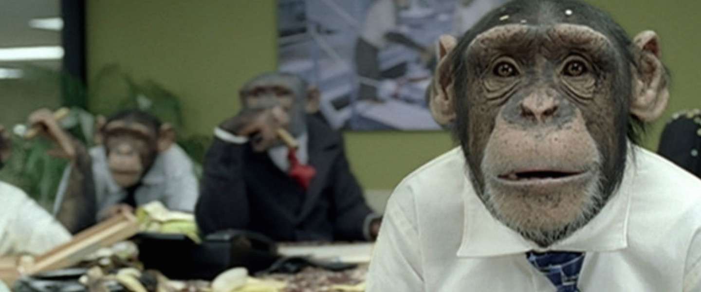 Organisaties erin geluisd door grappige kantoorchimpansees