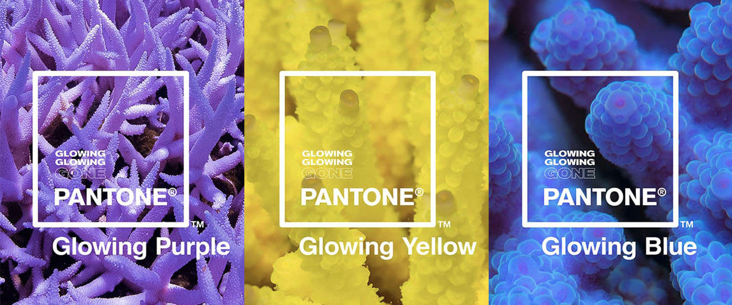 Adobe en Pantone brengen speciale kleurenrange uit