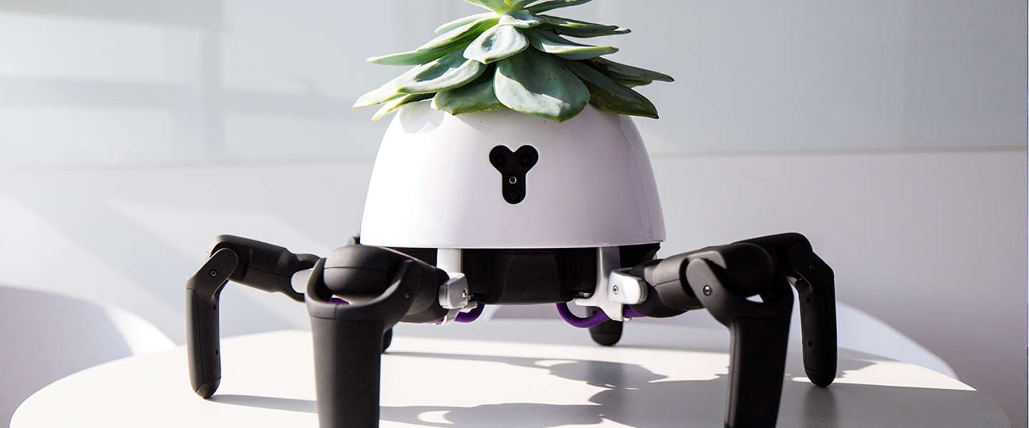 Deze toffe robot draagt je planten naar de zon