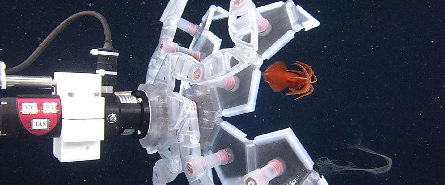 Deze onderwater-Pokébal vangt de meest zeldzame dieren