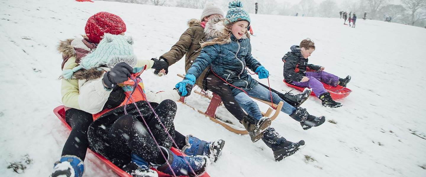 Door het winterse weer zijn we online vooral op zoek naar een slee