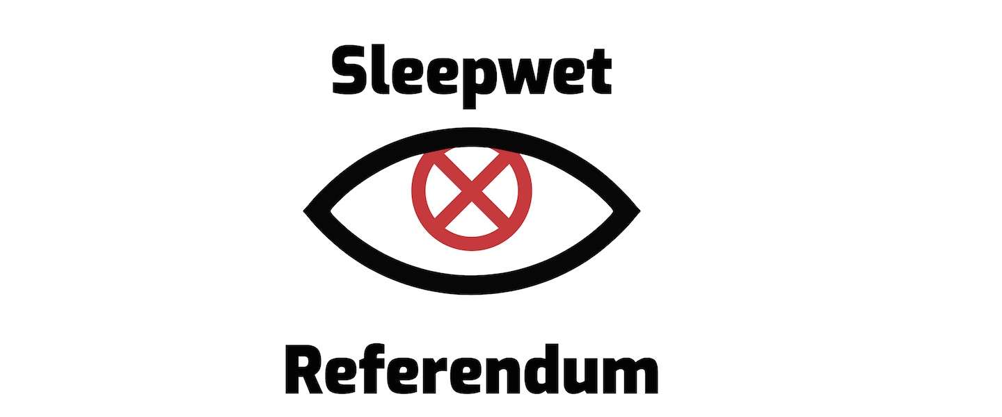 Er komt waarschijnlijk een referendum over de Sleepwet