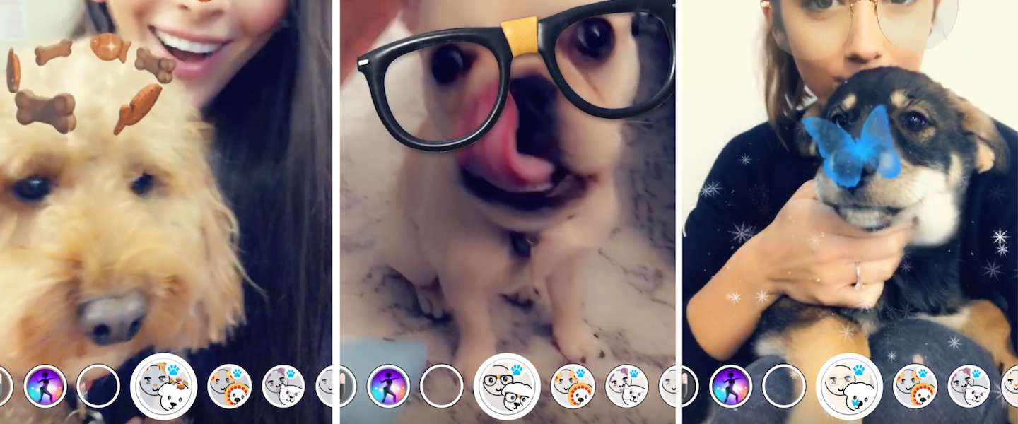 twist Pakistaans boete Snapchat lanceert nu ook filters voor honden