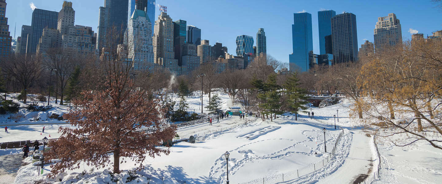 De mooiste en leukste foto's en video's van de #Blizzard2016