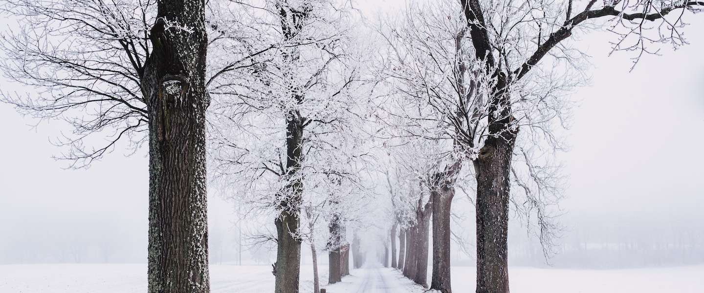 Het heeft gesneeuwd en dat is op social media ook te zien