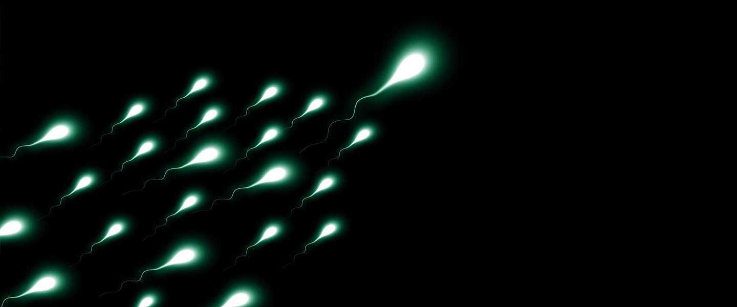 ​Antistoffen als anticonceptie: vechten tegen spermacellen